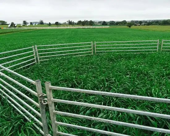 Sturdy metal panel fence for safe livestock control.